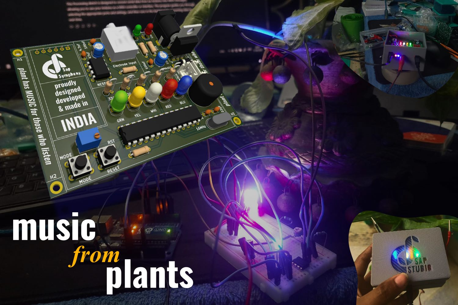 SAPSTUDIO music from plants
